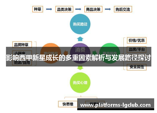 影响西甲新星成长的多重因素解析与发展路径探讨