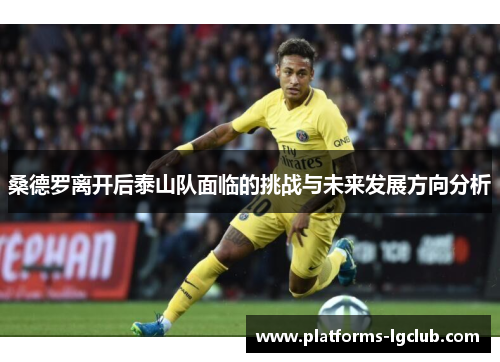 桑德罗离开后泰山队面临的挑战与未来发展方向分析