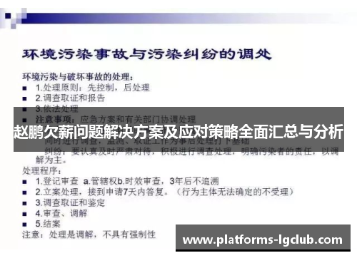 赵鹏欠薪问题解决方案及应对策略全面汇总与分析