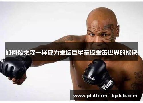 如何像泰森一样成为拳坛巨星掌控拳击世界的秘诀