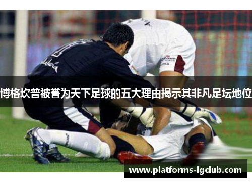 博格坎普被誉为天下足球的五大理由揭示其非凡足坛地位