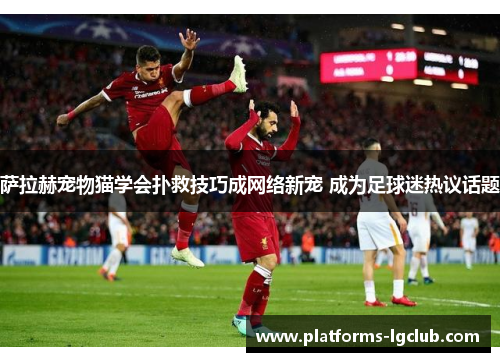 萨拉赫宠物猫学会扑救技巧成网络新宠 成为足球迷热议话题 萨拉赫宠物猫学会扑救技巧成网络新宠 成为足球迷热议话题