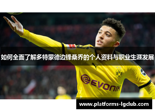 如何全面了解多特蒙德边锋桑乔的个人资料与职业生涯发展
