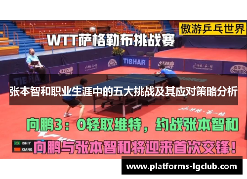 张本智和职业生涯中的五大挑战及其应对策略分析